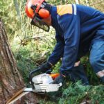 Emergency Tree Removal