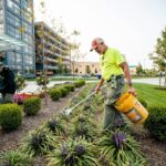 Commercial Landscaping Contractor