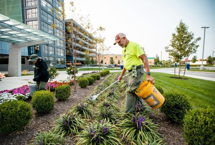 Commercial Landscaping Contractor