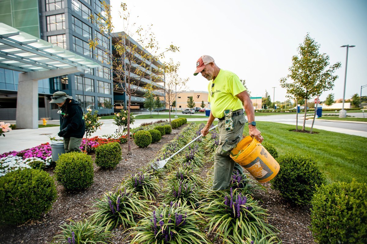 Commercial Landscaping Contractor